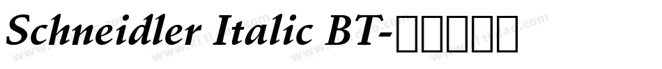 Schneidler Italic BT字体转换